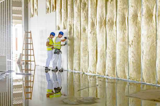 Best Local Insulation Services  in Monroeville, PA